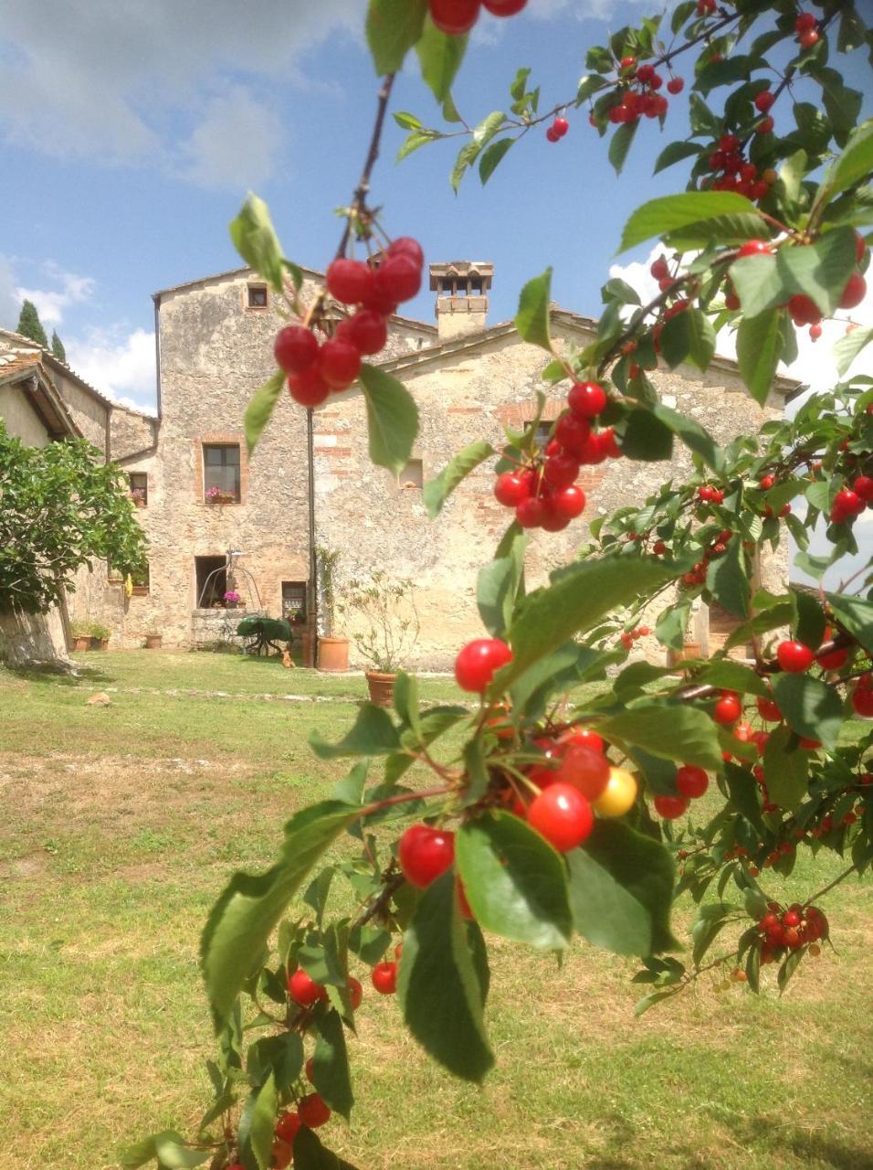 La Canonica Di San Michele มอนเตริจโจนี ภายนอก รูปภาพ
